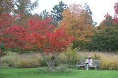 20221121_Feuilles_Arnaud-V