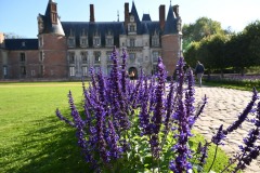 Alain-P_3