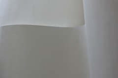 Anne-Sicoli_5
