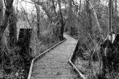 Marais-Maincourt-hiver-6_03