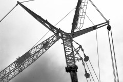 NDP-2023-03-03-3_01