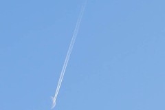 IMG_3839