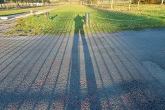 IMG_6762
