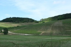 DSCF3065-1-1675539181135