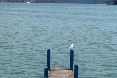 Lignes-directrices-1