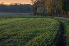 Lignes-directrices-3