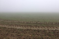 EricV-Ruralite-6