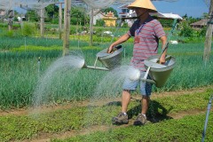 Theme-La-ruralite_05_05