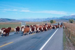 01_Theme_2023_02_13_Ruralite_1976_10_Trip_Las_Vegas_Montana_15_rot