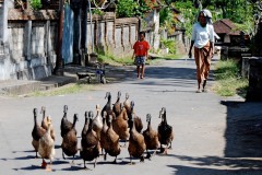Claude-G-ruralite-2