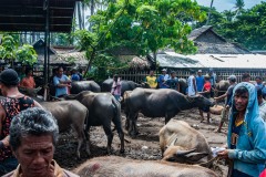 Claude-G-ruralite-3