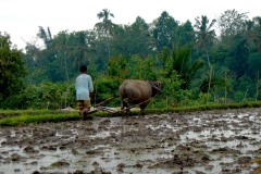 Claude-G-ruralite-4
