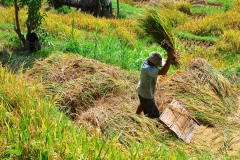 Claude-G-ruralite-5