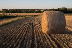 Ruralite-2