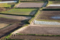 Ruralite-3