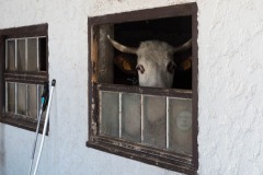 Ruralite-5