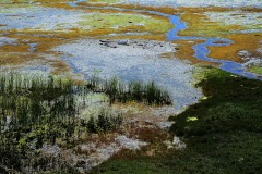 Theme-libre-impressionisme-1
