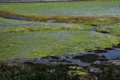 Theme-libre-impressionisme-2