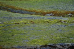 Theme-libre-impressionisme-3