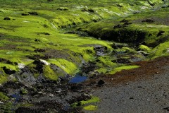 Theme-libre-impressionisme-4