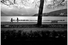 06-DSC07275
