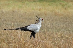 IMG_8196-copie2