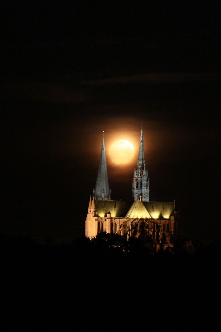 Alain-V.-Chartres-1
