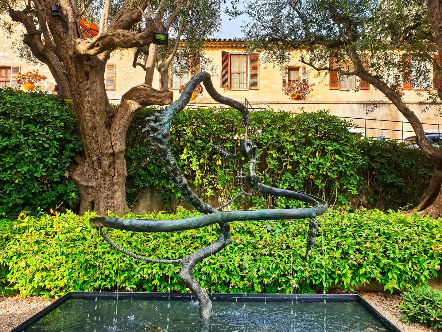 03_Claude_R_Theme_Vegetal_2024_10_07_Colombe_dor_rd