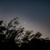 Claude-G-nuit-4