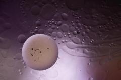Macro-Helene-H-2-sur-4