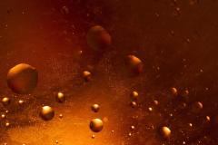 Macro-Helene-H-3-sur-4