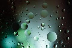 Macro-Helene-H-4-sur-4