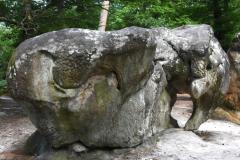 CatherineH-DSC_8340