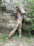 CatherineH-IMG_0957