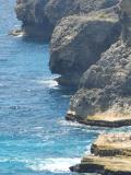 CecileA-La-tortue
