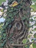 Eric-T-Pareidolie-3