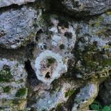 VittoriaDM-pareidolie-2-DSCF9616