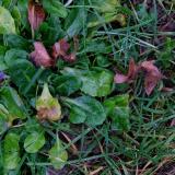VittoriaDM-pareidolie-4-DSCF9676-1
