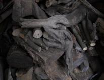 VittoriaDM-pareidolie-5-DSCF9670_01