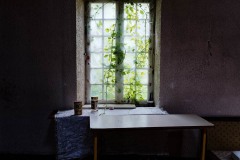 Florence-B_Un-dimanche-a-la-campagne_4_7112