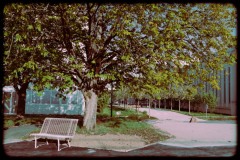 Claude-G-mairie-7