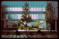 Claude-G-mairie-9