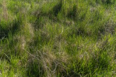 SylvieF_Gif-et-environs-14