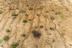 SylvieF_Gif-et-environs-16
