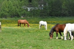 0.-Le-Moulin-neuf-Repos