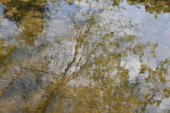 Nicole-R_Theme-libre_Merantaise5_DSC_8116