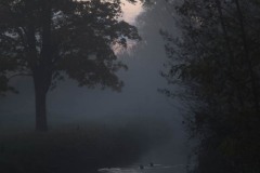 IMG_4655