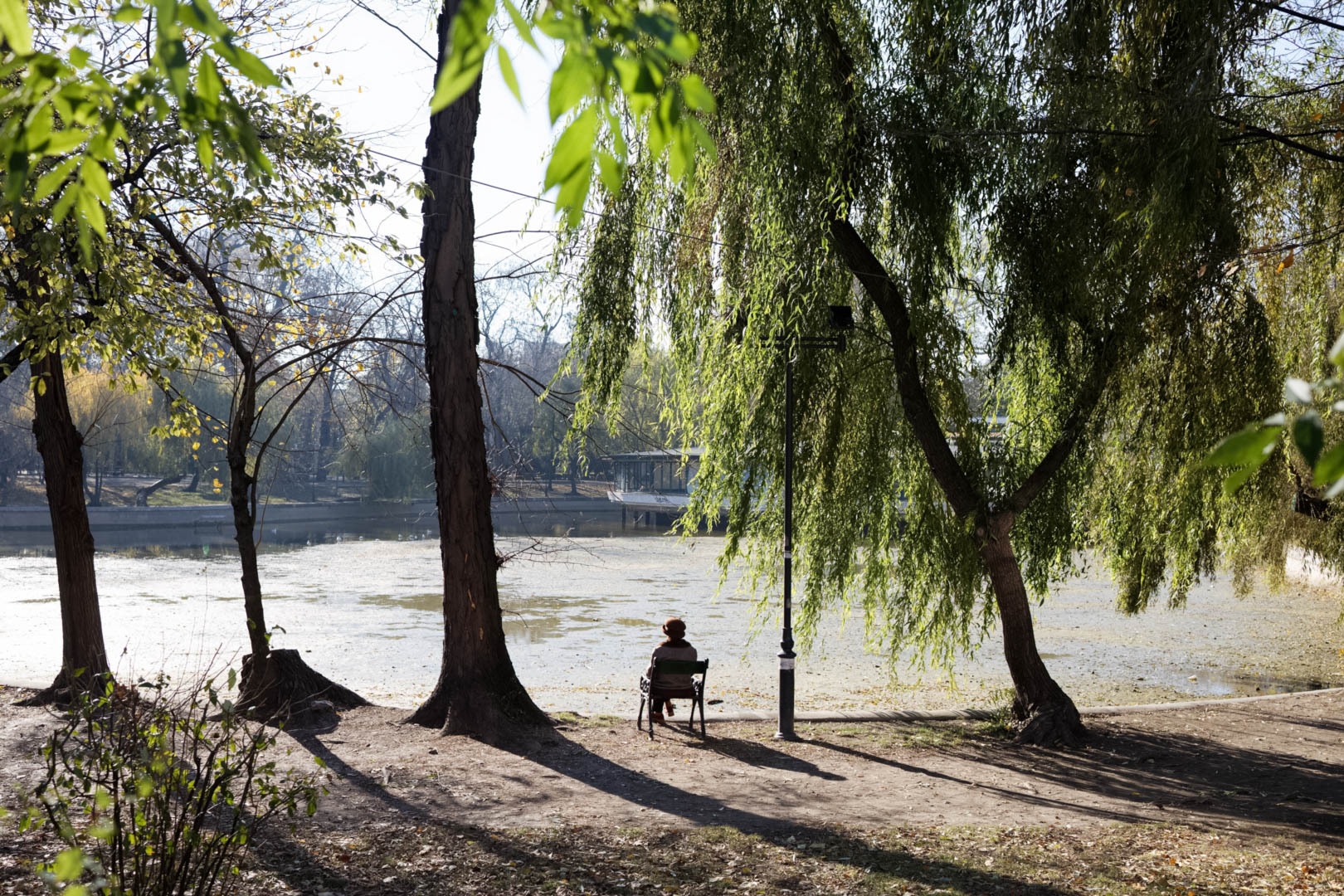 Philippe-Foule-ou-solitude-5-1Y4A0085-cr3_DxO_HQ