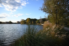 22_11-picod_lelac_5