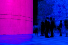 Claude-G-5-bassin-de-lumieres